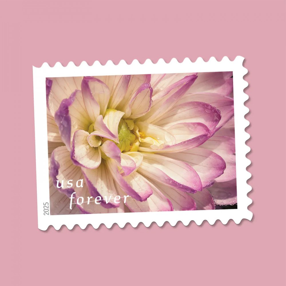 2025 Dahlias Stamps Book of 20