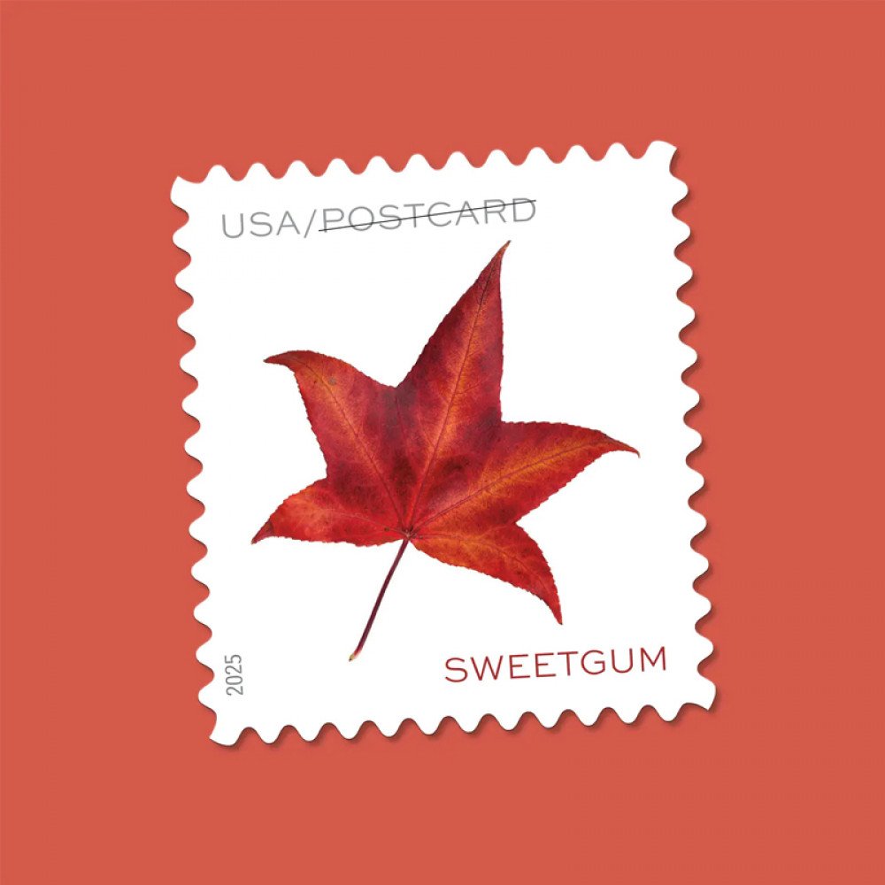 2025 Vibrant Leaves Postcard Stamps, 1 Roll of 100 Pcs Postcard |Multiple Stamp Designs andFormats