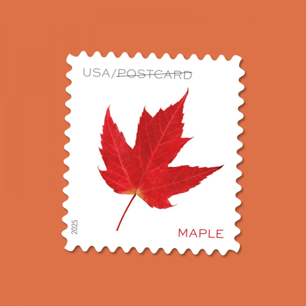 2025 Vibrant Leaves Postcard Stamps, 1 Roll of 100 Pcs Postcard |Multiple Stamp Designs andFormats